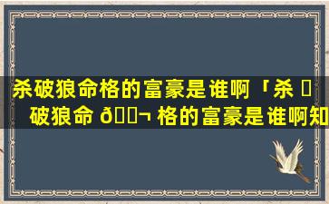 杀破狼命格的富豪是谁啊「杀 ☘ 破狼命 🐬 格的富豪是谁啊知乎」